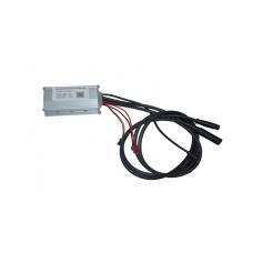 BEYİN YENİ MODEL (ZF6)