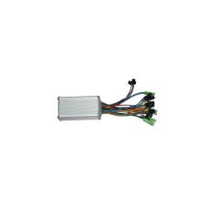 BEYİN (ZF6)